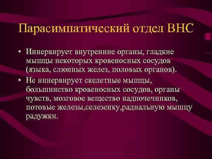 Парасимпатический отдел ВНС • Иннервирует внутренние органы, гладкие мышцы некоторых кровеносных сосудов (языка, слюнных