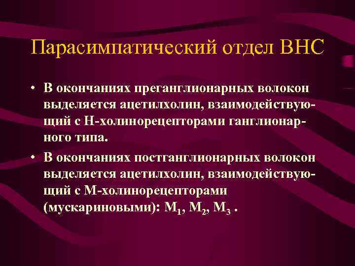 Парасимпатический отдел ВНС • В окончаниях преганглионарных волокон выделяется ацетилхолин, взаимодействующий с Н-холинорецепторами ганглионарного