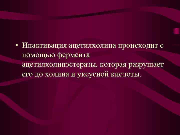  • Инактивация ацетилхолина происходит с помощью фермента ацетилхолинэстеразы, которая разрушает его до холина