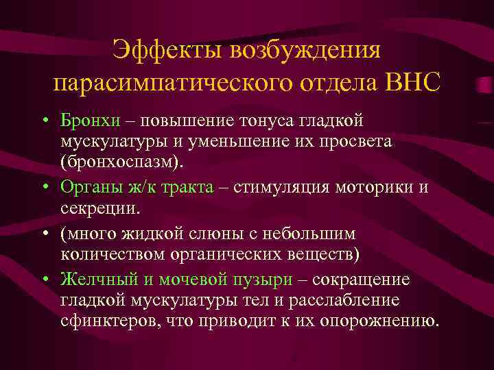 Эффекты возбуждения парасимпатического отдела ВНС • Бронхи – повышение тонуса гладкой мускулатуры и уменьшение