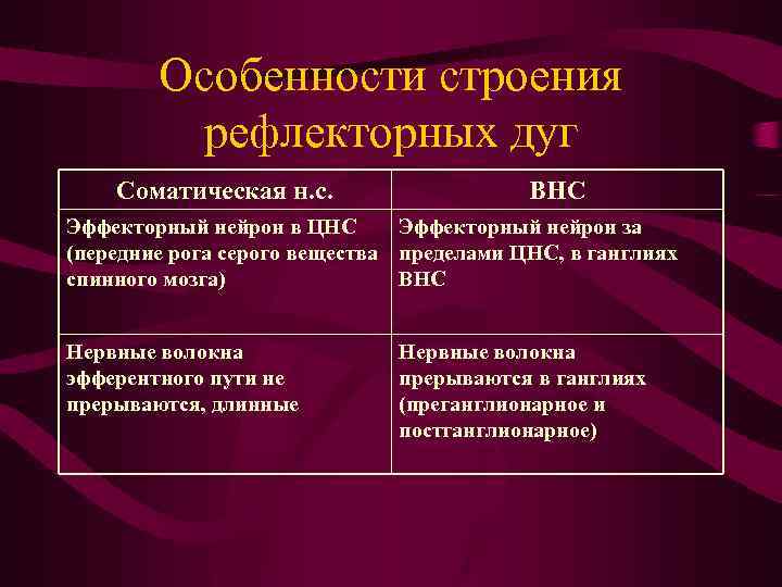 Особенности строения рефлекторных дуг Соматическая н. с. ВНС Эффекторный нейрон в ЦНС Эффекторный нейрон