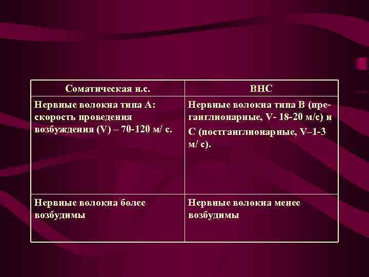 Соматическая н. с. ВНС Нервные волокна типа А: скорость проведения возбуждения (V) – 70