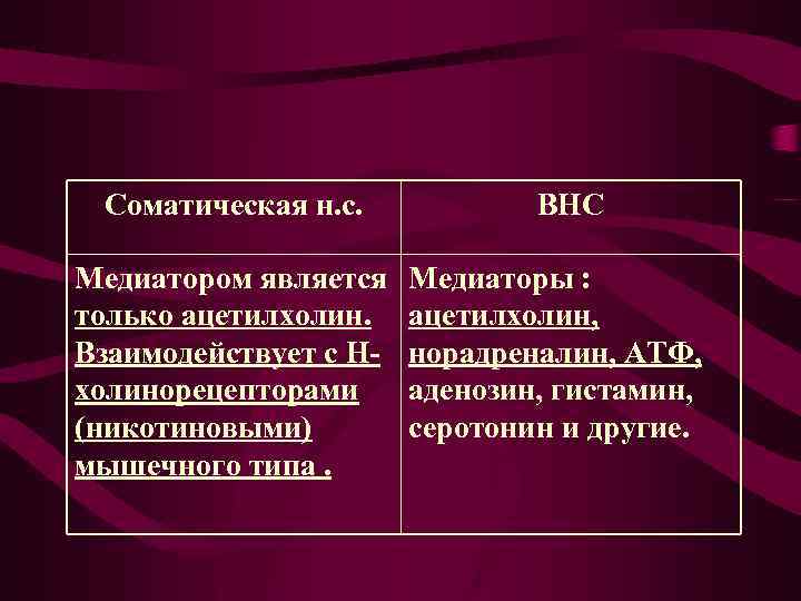 Соматическая н. с. Медиатором является только ацетилхолин. Взаимодействует с Нхолинорецепторами (никотиновыми) мышечного типа. ВНС