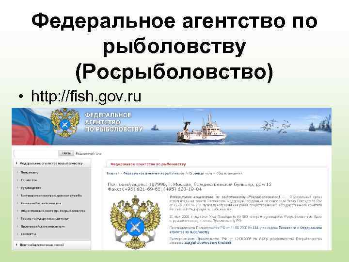 Федеральное агентство по рыболовству (Росрыболовство) • http: //fish. gov. ru 