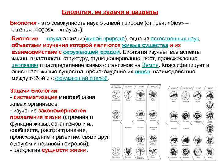 В чем состоят закономерности проявления