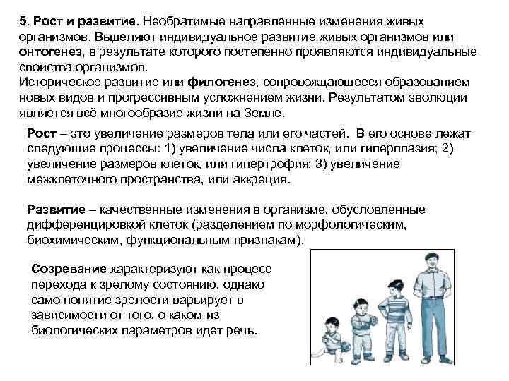 5. Рост и развитие. Необратимые направленные изменения живых организмов. Выделяют индивидуальное развитие живых организмов