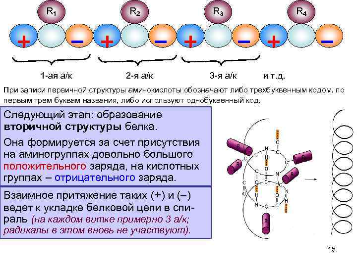 R 1 R 2 R 3 R 4 1 -ая а/к 2 -я а/к