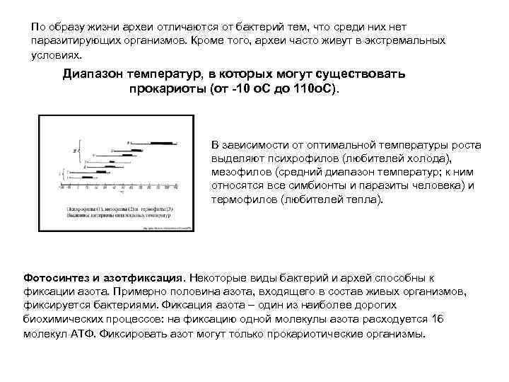 По образу жизни археи отличаются от бактерий тем, что среди них нет паразитирующих организмов.