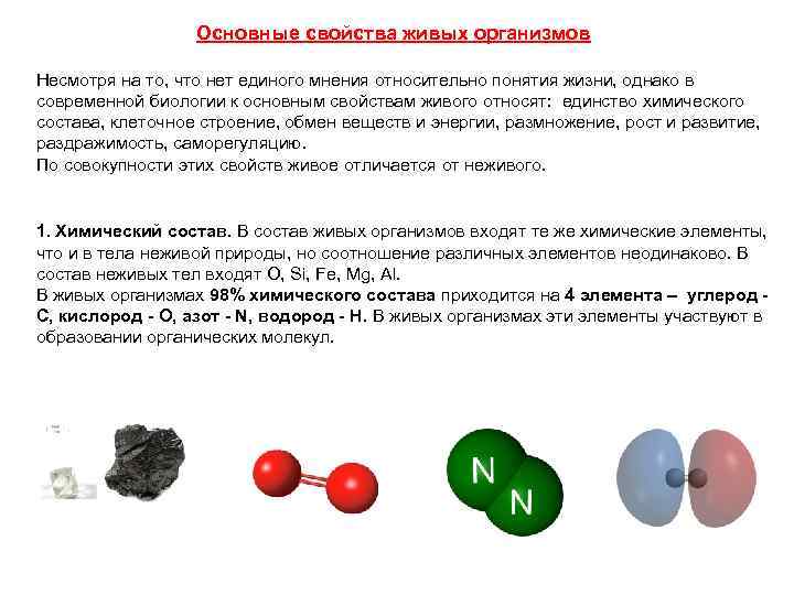 Основные свойства живых организмов Несмотря на то, что нет единого мнения относительно понятия жизни,