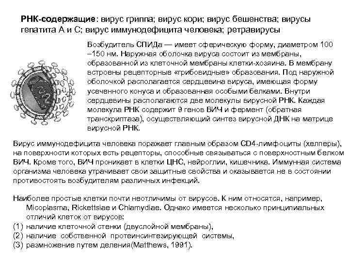 РНК-содержащие: вирус гриппа; вирус кори; вирус бешенства; вирусы гепатита А и С; вирус иммунодефицита