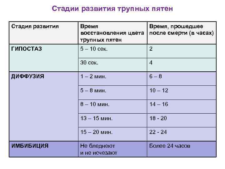 Стадии развития трупных пятен Стадия развития Время, прошедшее восстановления цвета после смерти (в часах)