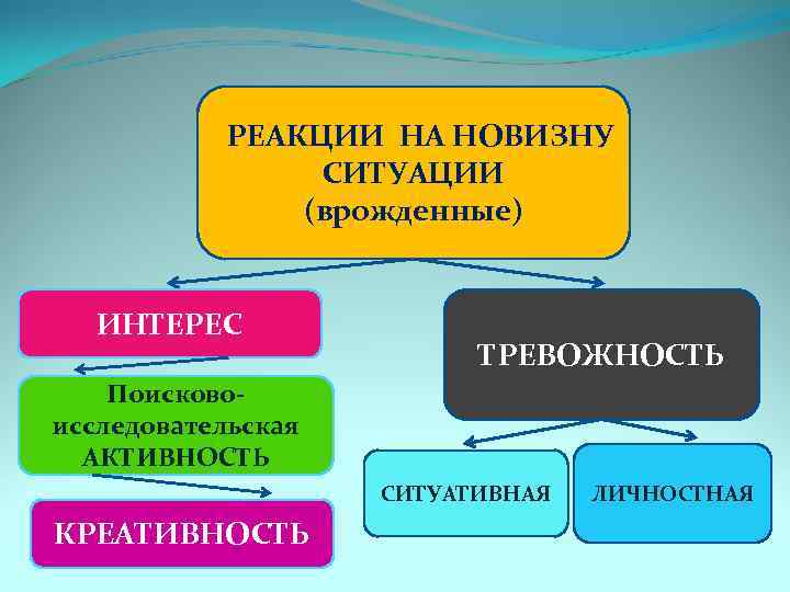  РЕАКЦИИ НА НОВИЗНУ СИТУАЦИИ (врожденные) ИНТЕРЕС ТРЕВОЖНОСТЬ Поисковоисследовательская АКТИВНОСТЬ СИТУАТИВНАЯ КРЕАТИВНОСТЬ ЛИЧНОСТНАЯ 