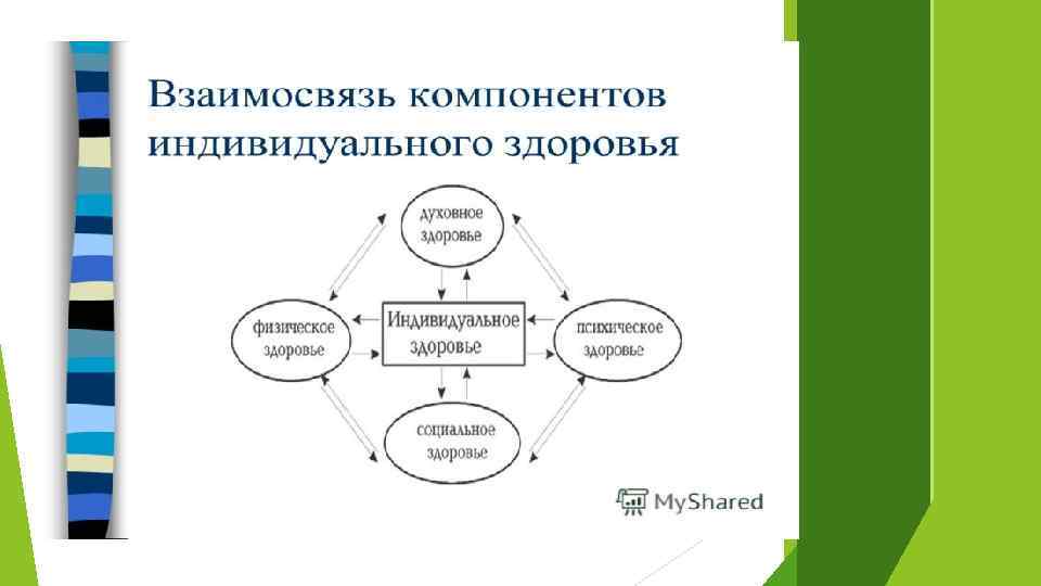 Индивидуальные компоненты. Взаимосвязь компонентов индивидуального здоровья. Компоненты индивидуального здоровья. Составляющие индивидуального здоровья человека. Основы патологии его роль и задачи.