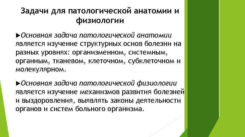 Задачи для патологической анатомии и физиологии Основная задача патологической анатомии является изучение структурных основ
