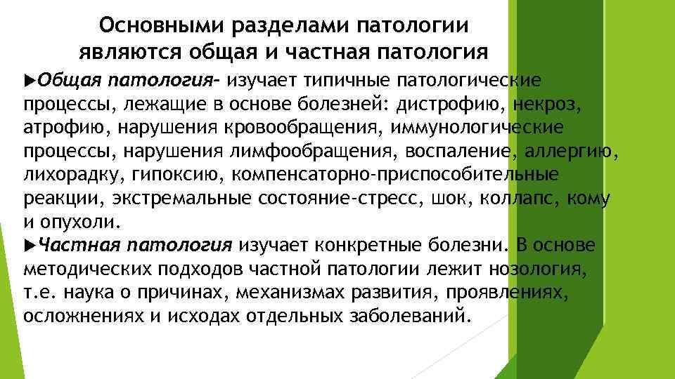 Общая патология. Основными разделами патологии являются. Основные разделы патологии. Основные разделы науки патологии.