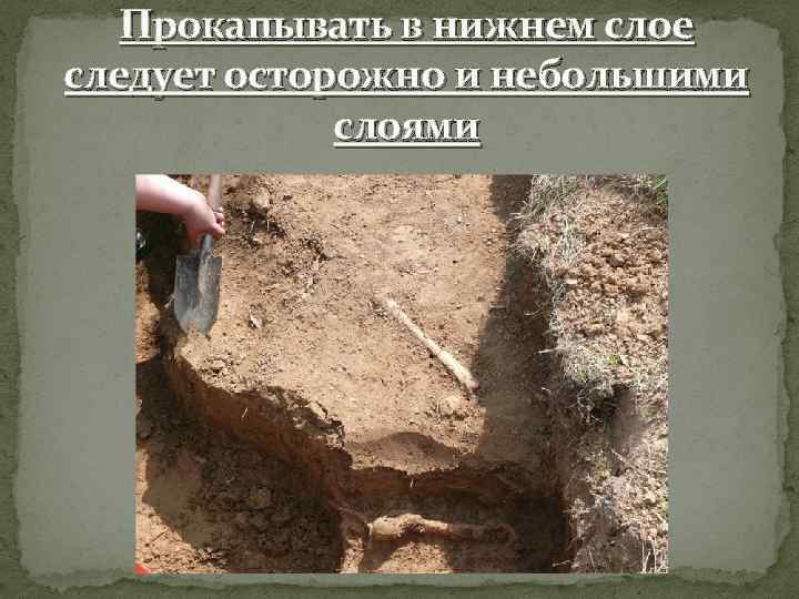 Прокапывать в нижнем слое следует осторожно и небольшими слоями 