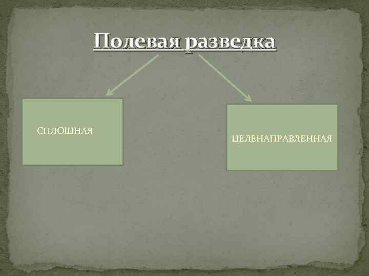 Полевая разведка СПЛОШНАЯ ЦЕЛЕНАПРАВЛЕННАЯ 