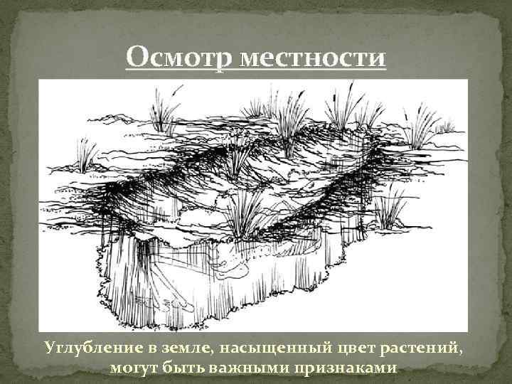 Осмотр местности Углубление в земле, насыщенный цвет растений, могут быть важными признаками 