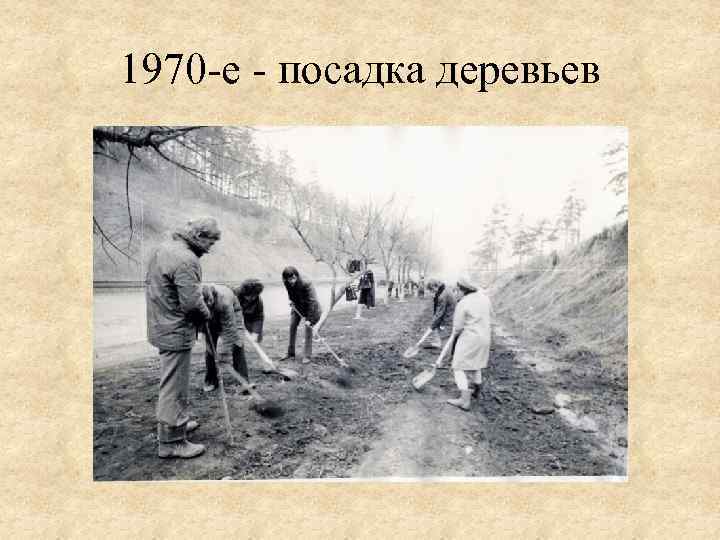 1970 -е - посадка деревьев 