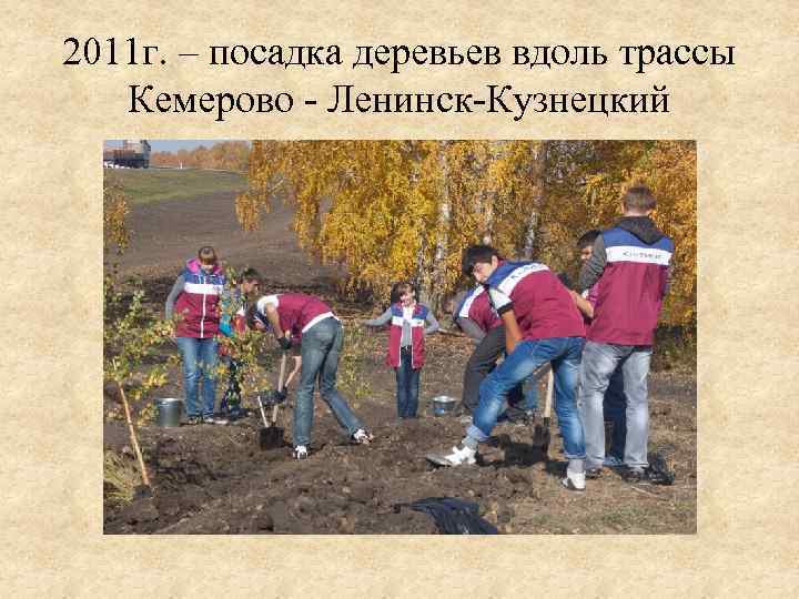 2011 г. – посадка деревьев вдоль трассы Кемерово - Ленинск-Кузнецкий 