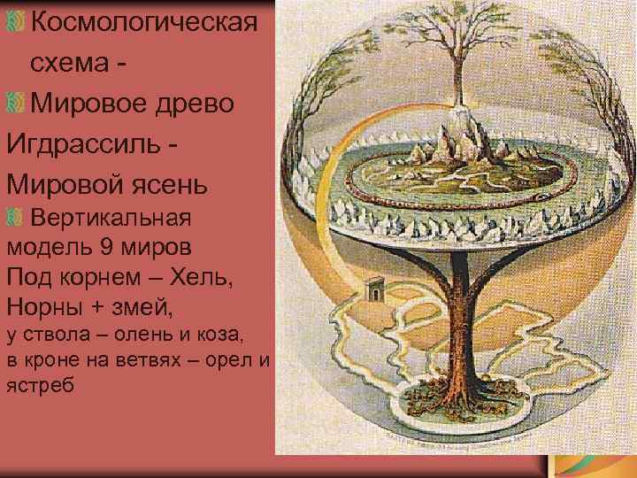 Космологическая схема Мировое древо Игдрассиль Мировой ясень Вертикальная модель 9 миров Под корнем –