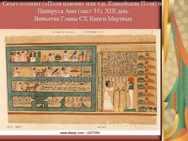 Сехет-хотепет ( «Поля покоев» или т. н. Елисейские Поля) из Папируса Ани (лист 35).