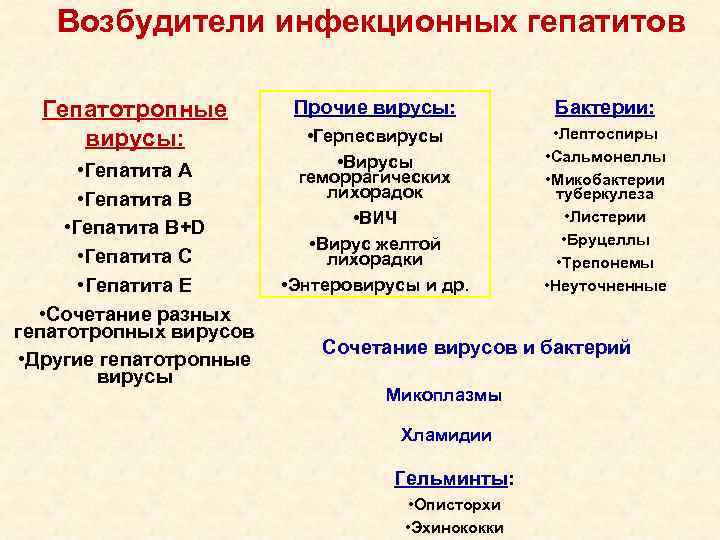 Инфекционный гепатит возбудитель. Характеристика гепатотропных вирусов. Общая характеристика гепатотропных вирусов микробиология. Общая характеристика гепатотропных вирусов классификация.