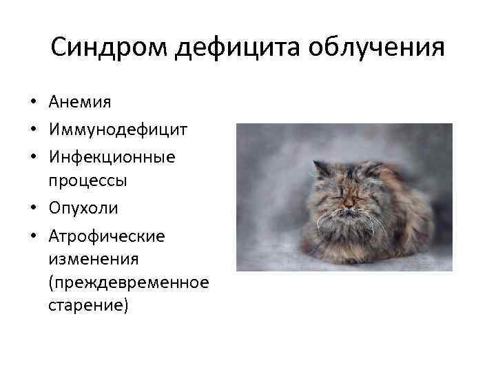 Синдром дефицита облучения • Анемия • Иммунодефицит • Инфекционные процессы • Опухоли • Атрофические