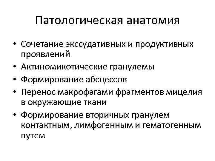 Патологическая анатомия • Сочетание экссудативных и продуктивных проявлений • Актиномикотические гранулемы • Формирование абсцессов