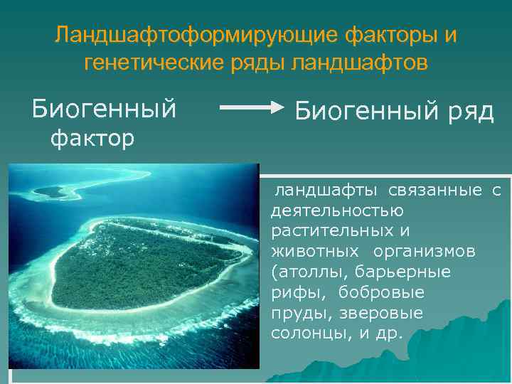 Ландшафтоформирующие факторы и генетические ряды ландшафтов Биогенный фактор Биогенный ряд Ландшафты связанные с деятельностью