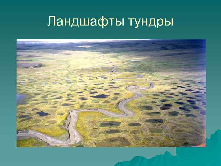 Ландшафты тундры 