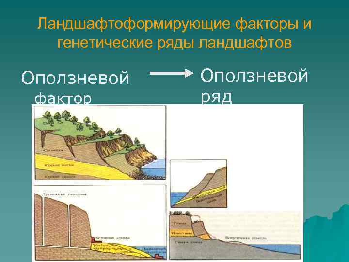 Ландшафтоформирующие факторы и генетические ряды ландшафтов Оползневой фактор Оползневой ряд 