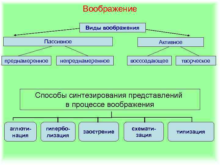 Воображение Виды воображения Пассивное преднамеренное Активное непреднамеренное воссоздающее творческое Способы синтезирования представлений в процессе