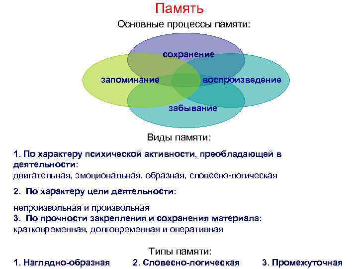 Память Основные процессы памяти: сохранение запоминание воспроизведение забывание Виды памяти: 1. По характеру психической