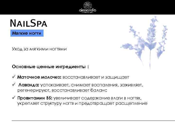 Мягкие ногти Уход за мягкими ногтями Основные ценные ингредиенты : ü Маточное молочко: восстанавливает