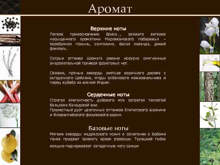Аромат Верхние ноты Легкое прикосновение бриза…, свежего ветерка насыщенного ароматами Марокканского побережья – серебряная