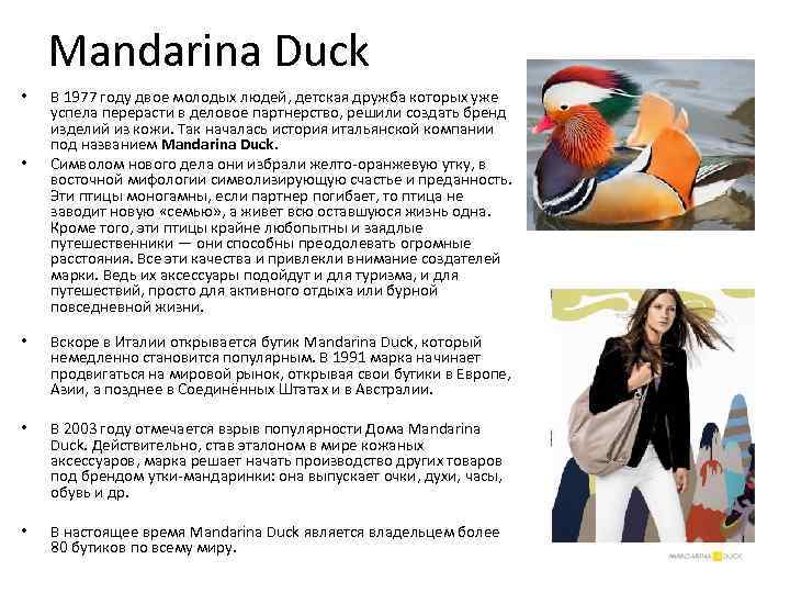 Mandarina Duck • • В 1977 году двое молодых людей, детская дружба которых уже