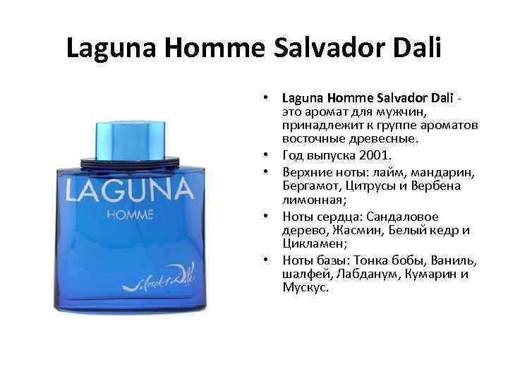 Laguna Homme Salvador Dali • Laguna Homme Salvador Dali - это аромат для мужчин,