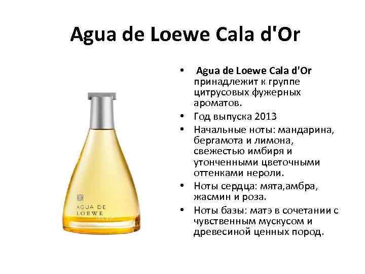  Agua de Loewe Cala d'Or • Agua de Loewe Cala d'Or принадлежит к