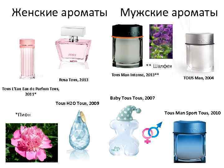 Женские ароматы Мужские ароматы ** Шалфея Rosa Tous, 2013 Tous L’Eau de Parfum Tous,