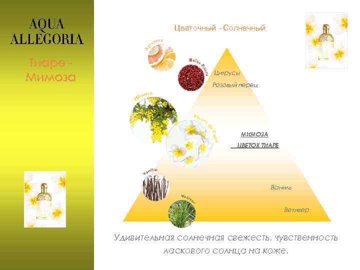 Цветочный - Солнечный Тиаре Мимоза Цитрусы Розовый перец МИМОЗА ЦВЕТОК ТИАРЕ Ваниль Ветивер Удивительная
