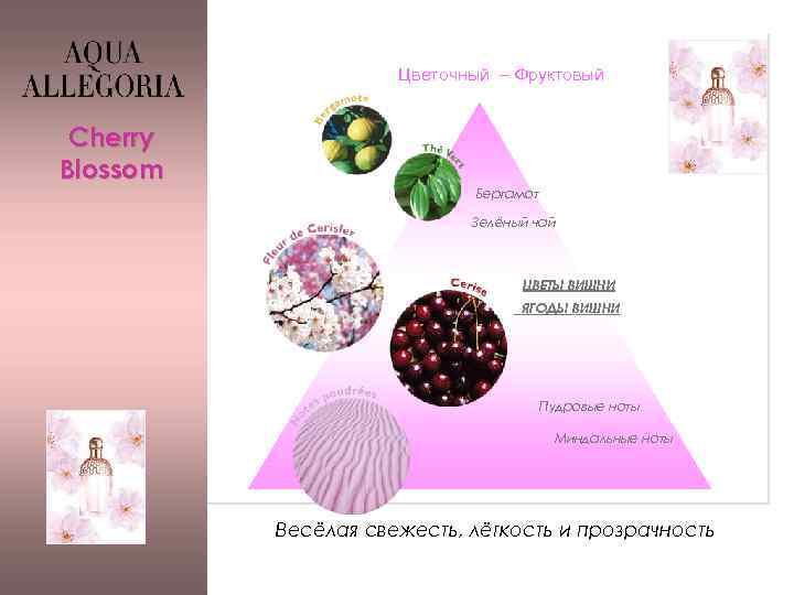 Цветочный – Фруктовый Cherry Blossom Бергамот Зелёный чай ЦВЕТЫ ВИШНИ ЯГОДЫ ВИШНИ Пудровые ноты