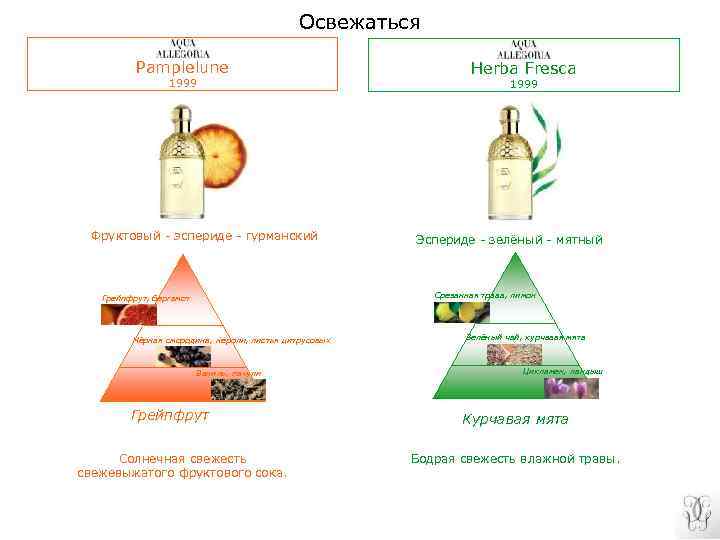 Освежаться Pamplelune 1999 Фруктовый - эспериде - гурманский Herba Fresca 1999 Эспериде - зелёный