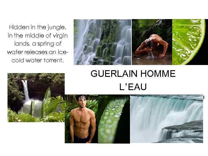 Hidden in the jungle, in the middle of virgin lands, a spring of water