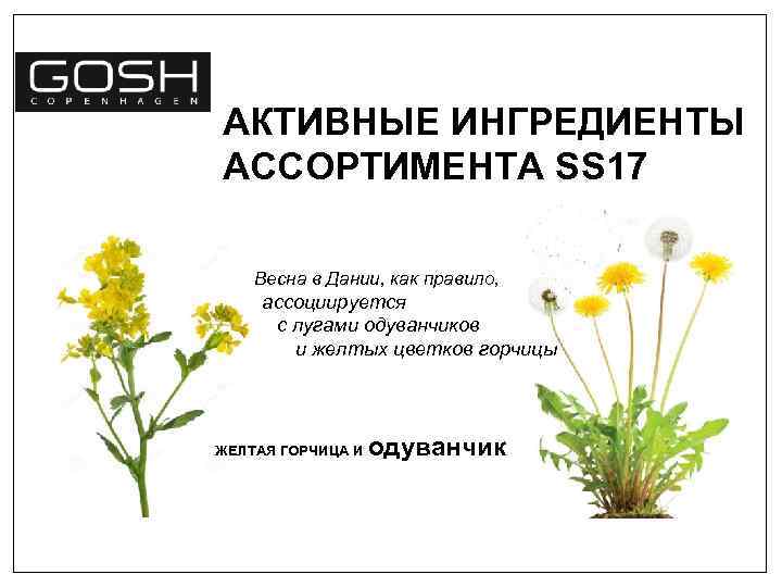 АКТИВНЫЕ ИНГРЕДИЕНТЫ АССОРТИМЕНТА SS 17 Весна в Дании, как правило, ассоциируется с лугами одуванчиков