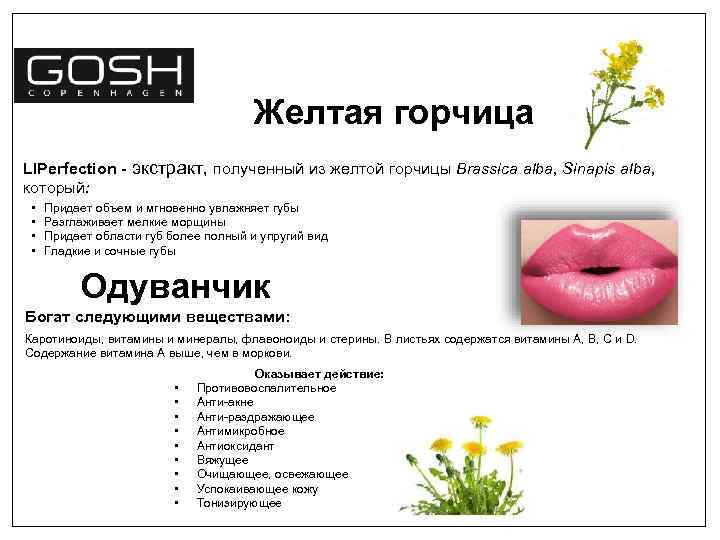 Желтая горчица LIPerfection - экстракт, полученный из желтой горчицы Brassica alba, Sinapis alba, который: