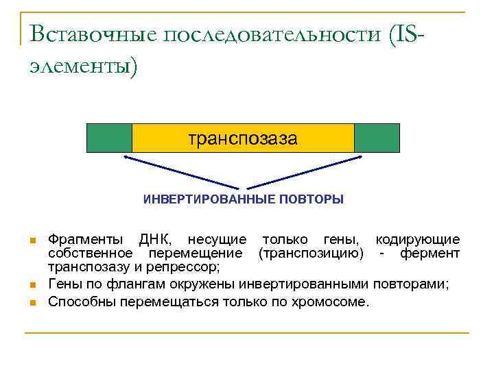 Вставочные последовательности (ISэлементы) транспозаза ИНВЕРТИРОВАННЫЕ ПОВТОРЫ n n n Фрагменты ДНК, несущие только гены,