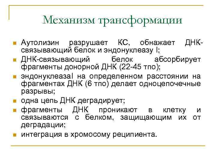 Механизм трансформации n n n Аутолизин разрушает КС, обнажает ДНКсвязывающий белок и эндонуклеазу I;