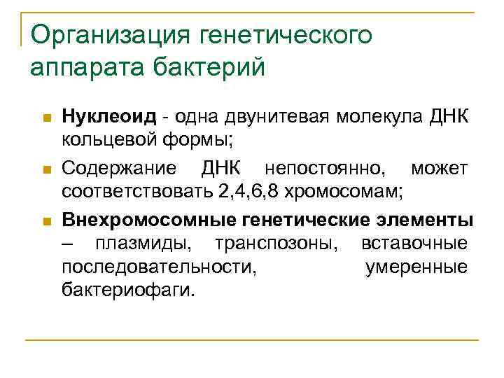 Организация генетического аппарата бактерий n n n Нуклеоид - одна двунитевая молекула ДНК кольцевой