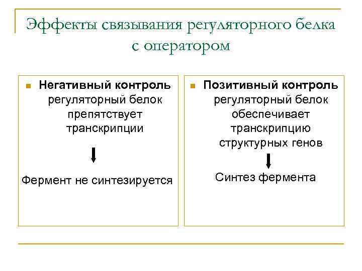 Эффекты связывания регуляторного белка с оператором n Негативный контроль регуляторный белок препятствует транскрипции Фермент